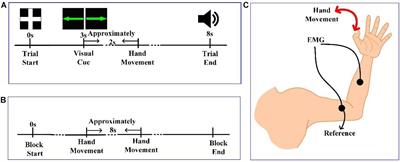 Differences in Intersubject Early Readiness Potentials Between Voluntary and Instructed Actions